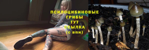 кокс Арсеньев