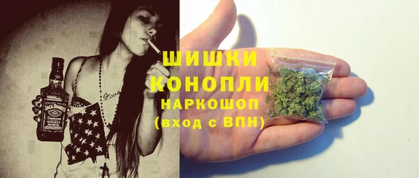 кокс Арсеньев