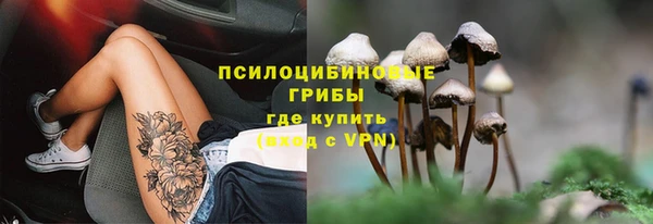 кокс Арсеньев