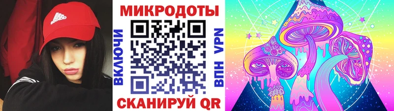 Псилоцибиновые грибы Cubensis  Дно 