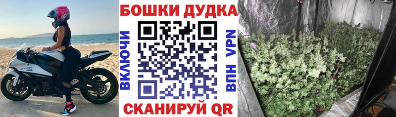 Каннабис White Widow  магазин  наркотиков  Дно 